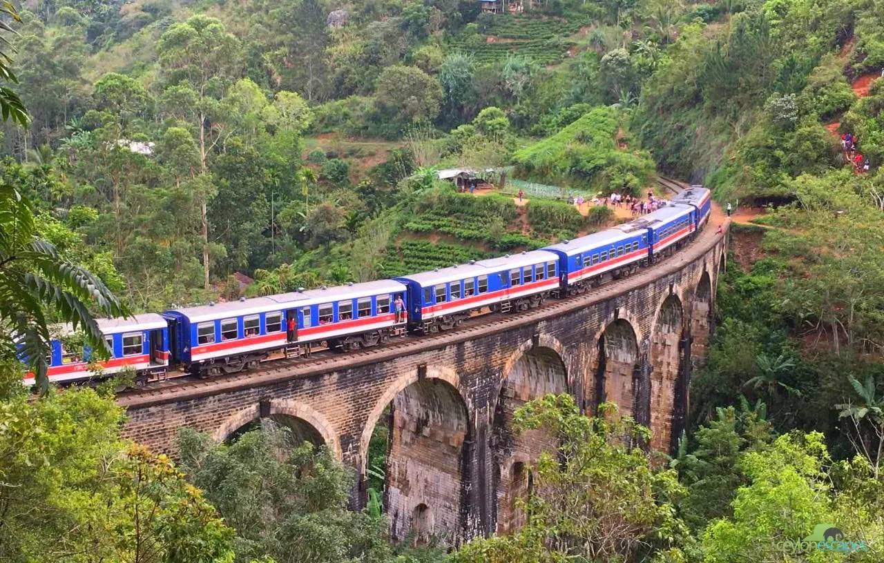 Sri Lanka Family Tour Gallery 8