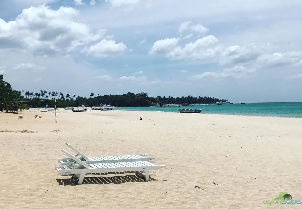 East Coast Special Gallery 4