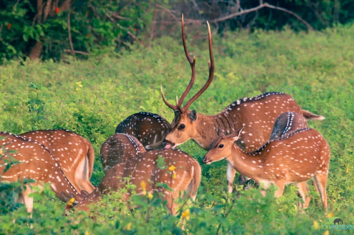 East Coast Summer Break 7