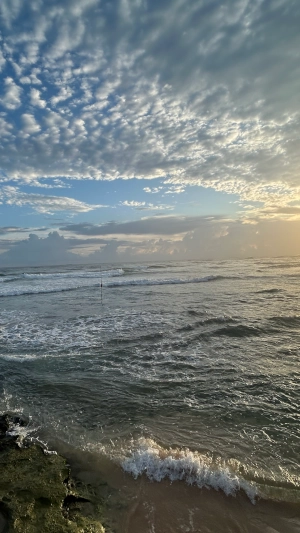 Honeymoon in Sri Lanka Gallery 6