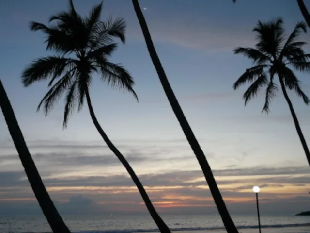 Honeymoon in Sri Lanka