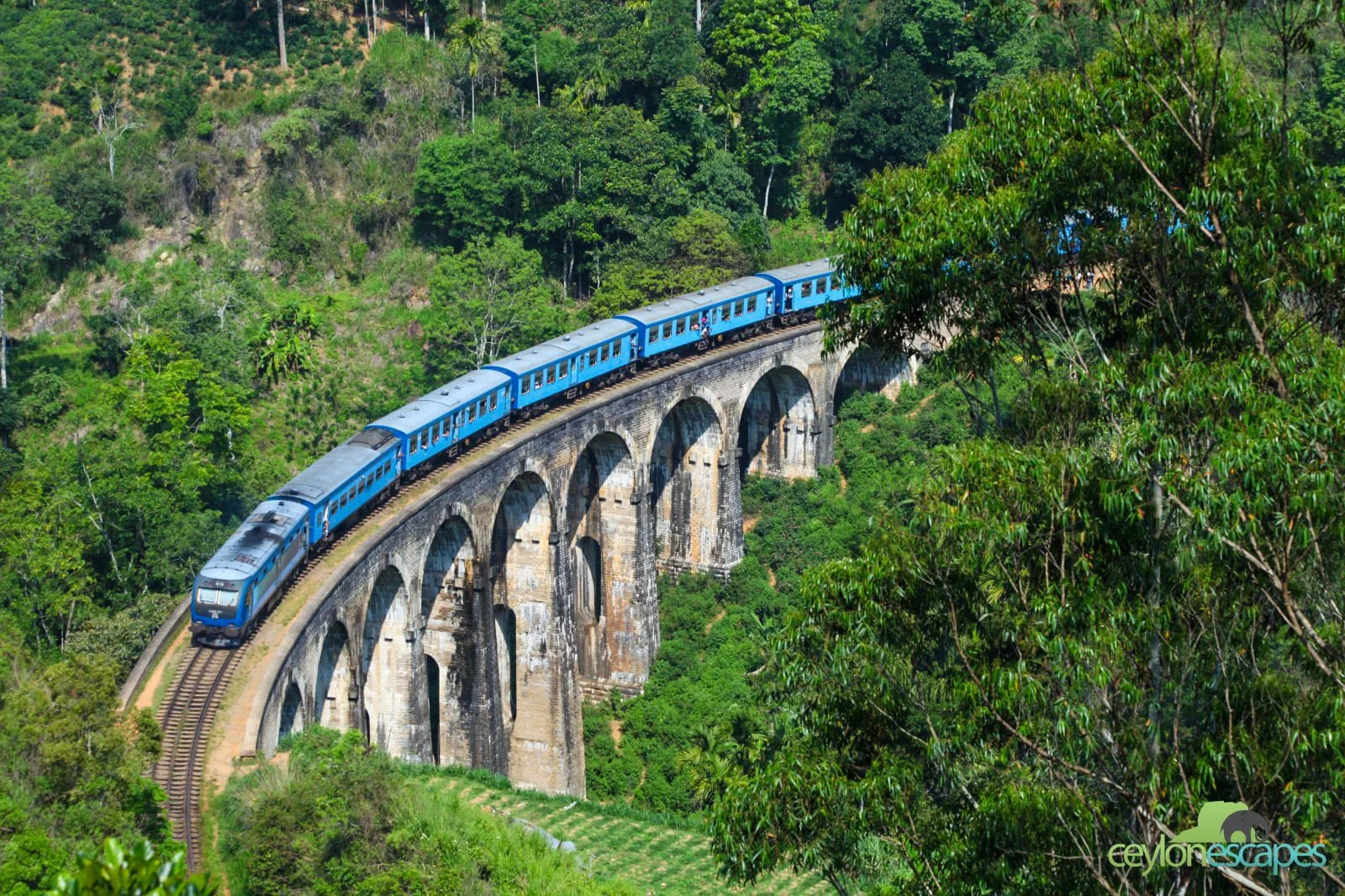 08 Nights Pekoe Trail