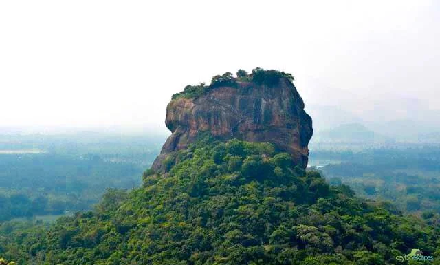 South Coast Winter Break 1