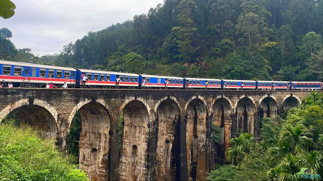 South Coast Winter Break 2