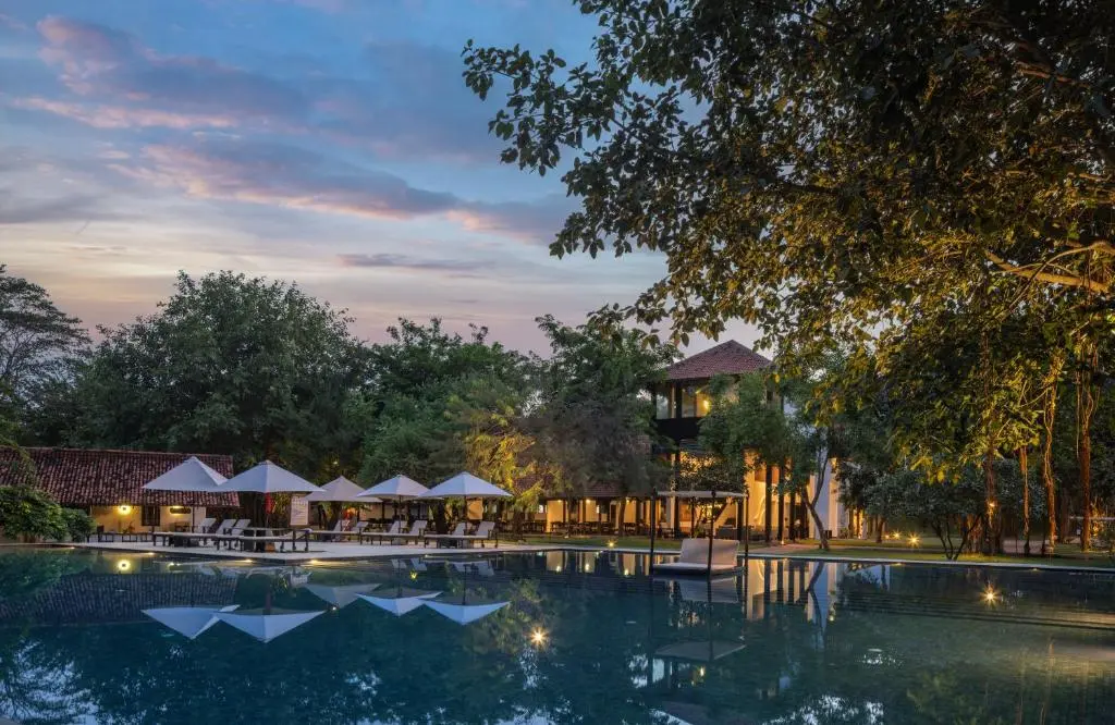 South Coast Winter Break 4