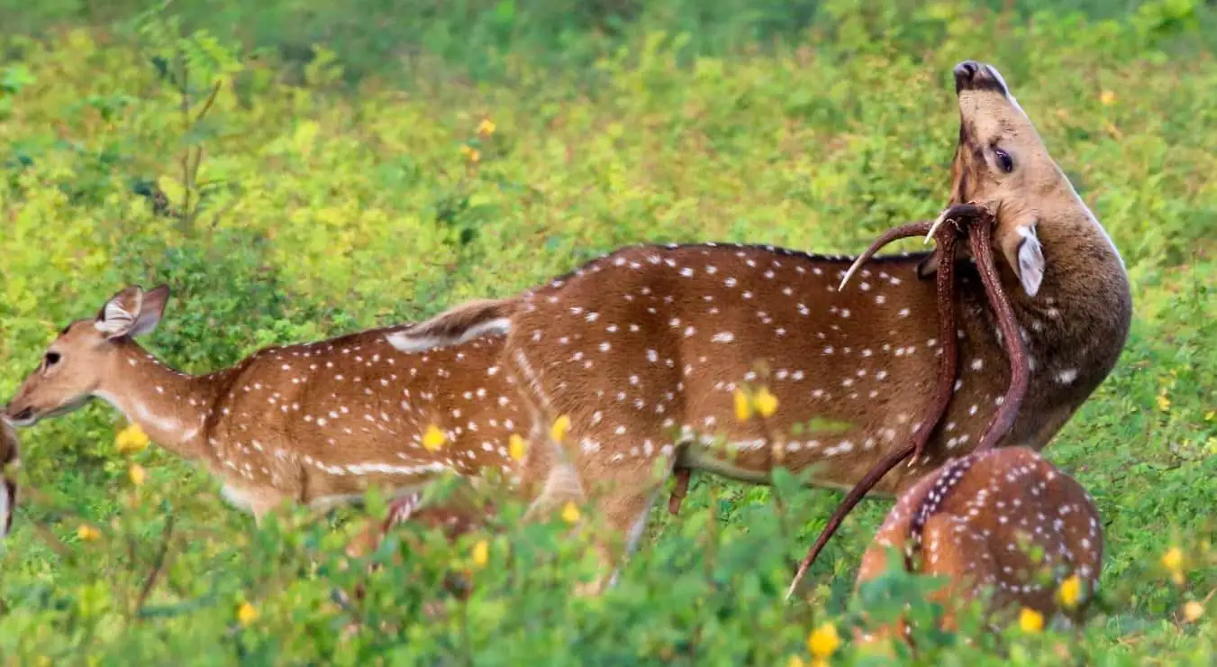 South Coast Winter Break 5