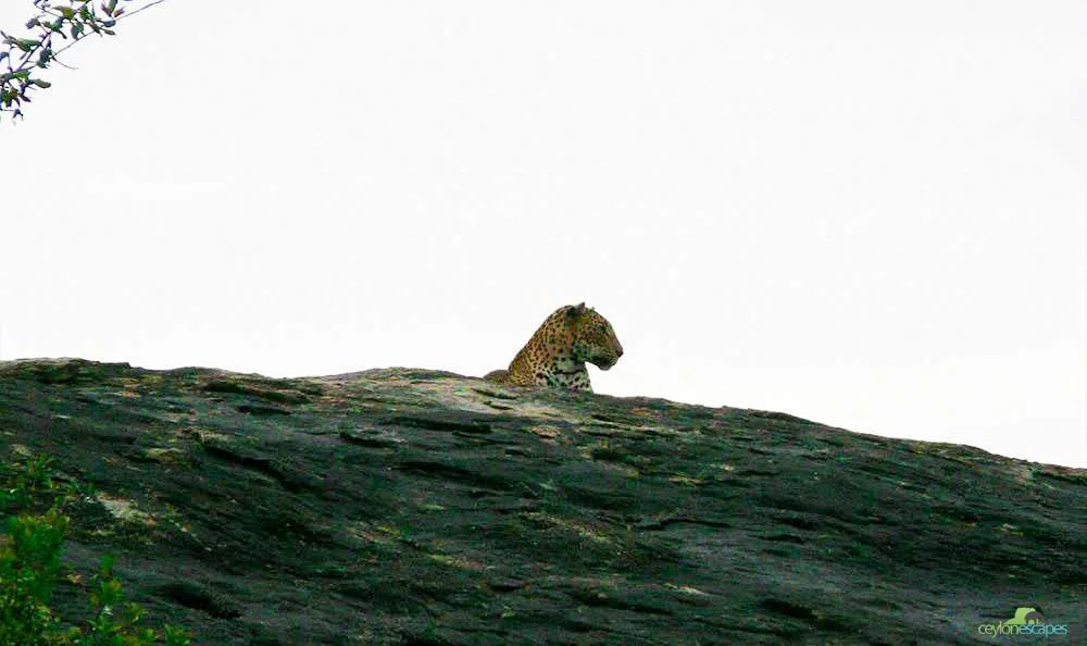 South Coast Winter Break 6