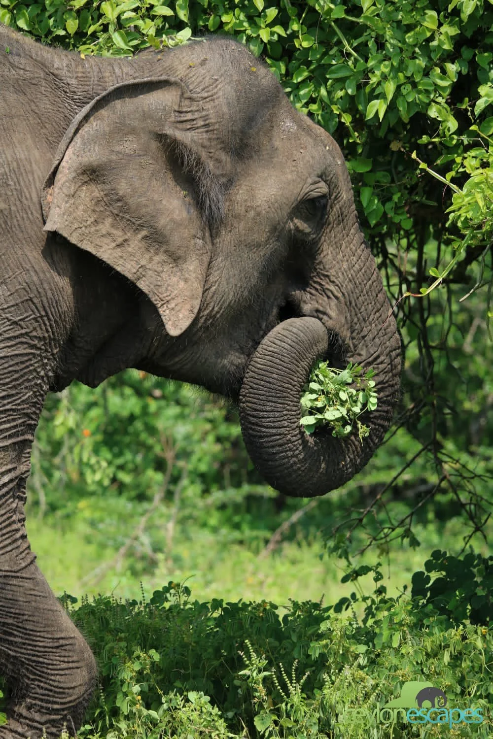 South Coast Winter Break 7