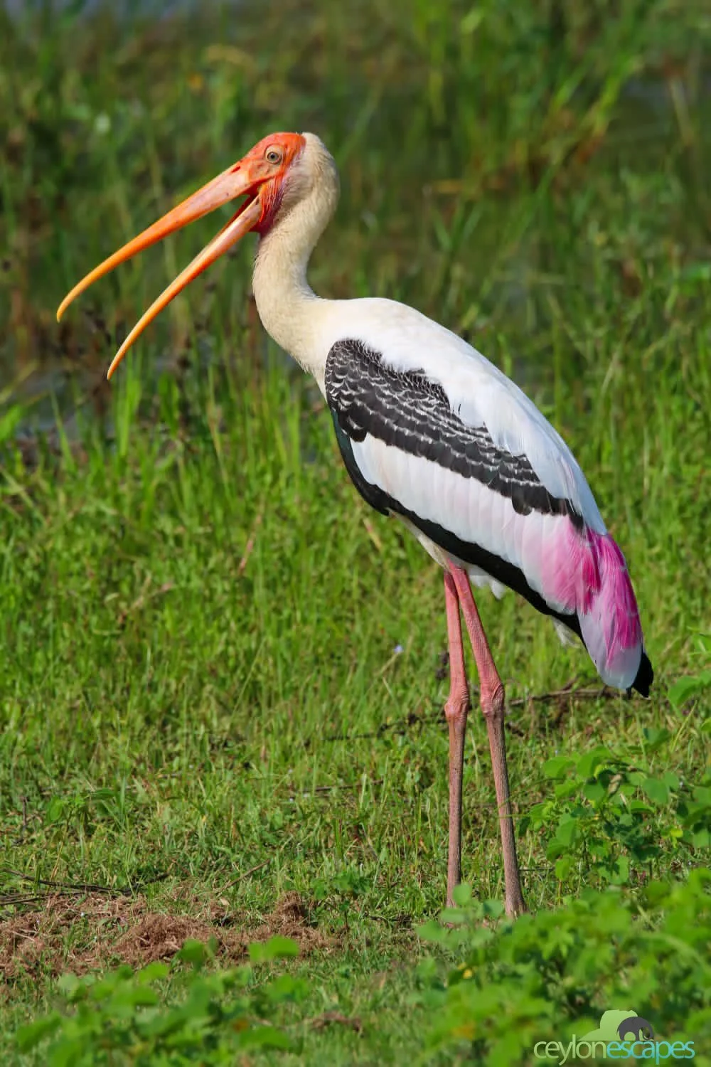 South Coast Winter Break 8