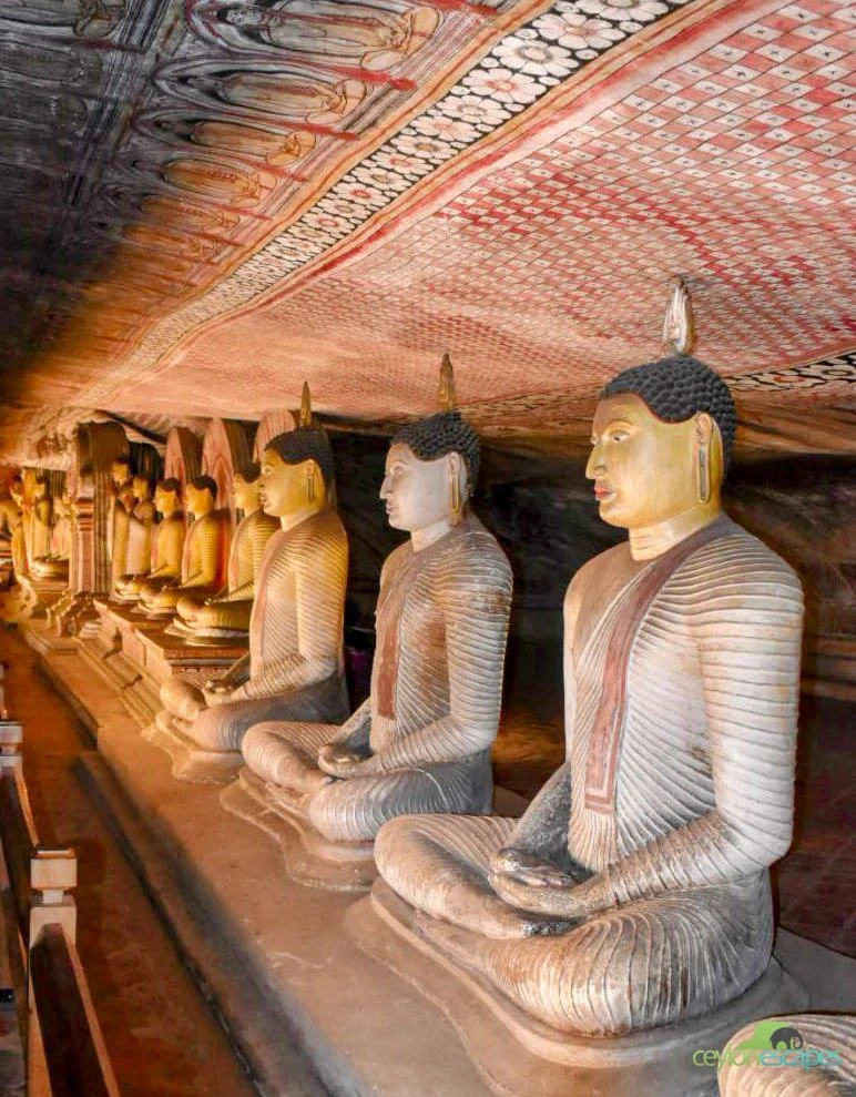 srilanka-special-gallery-5