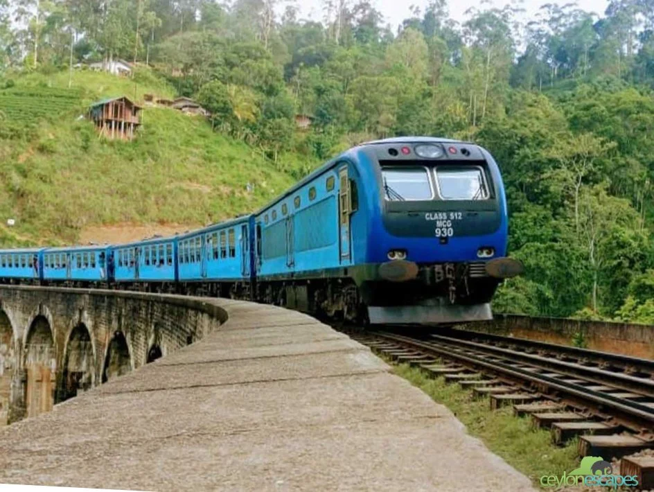 wild-life-and-adventure