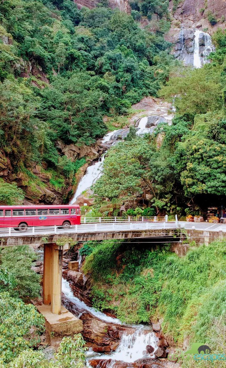 wild-life-and-adventure