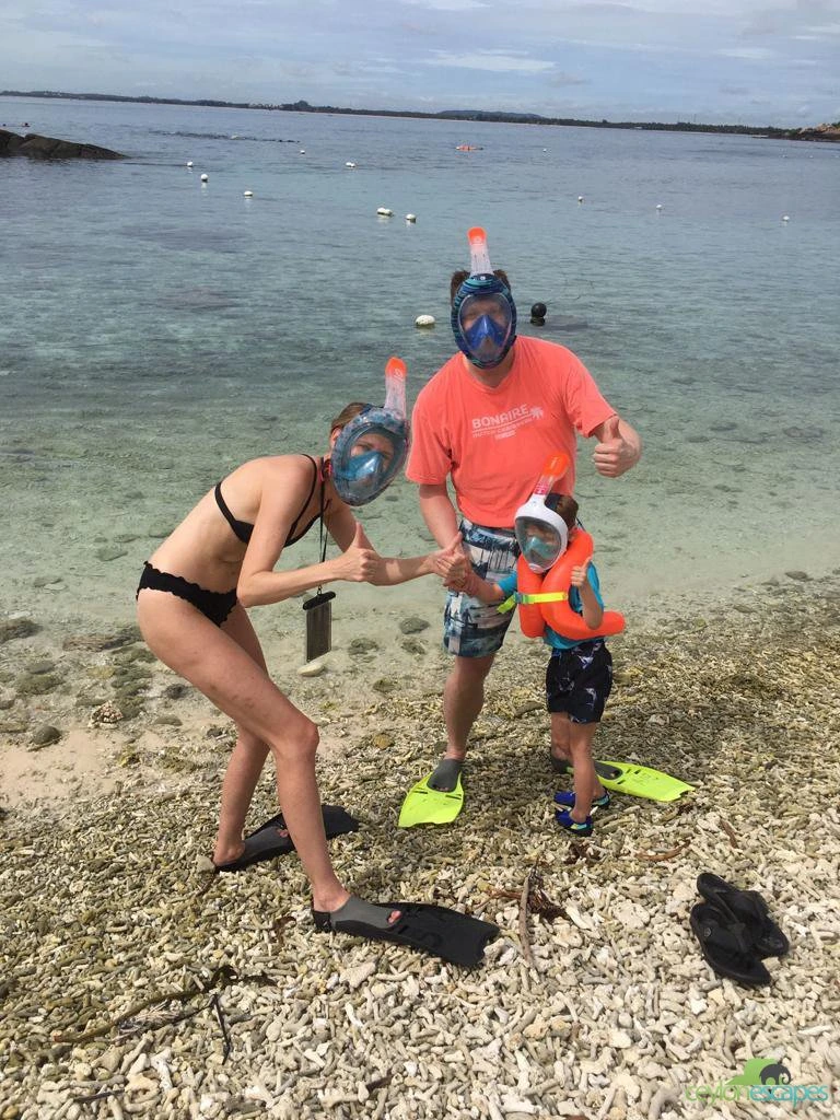 wild-life-and-adventure