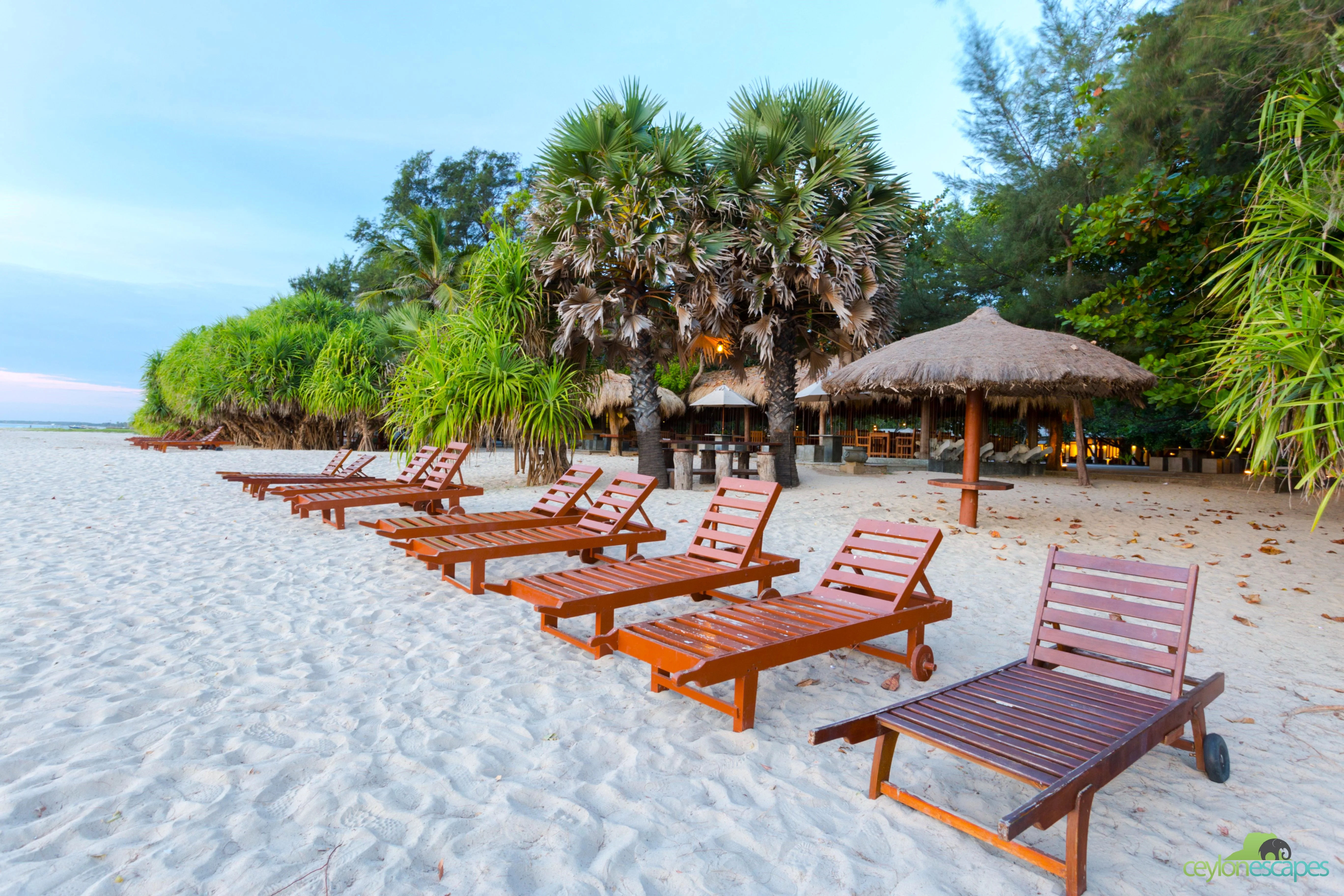 wild-life-and-adventure