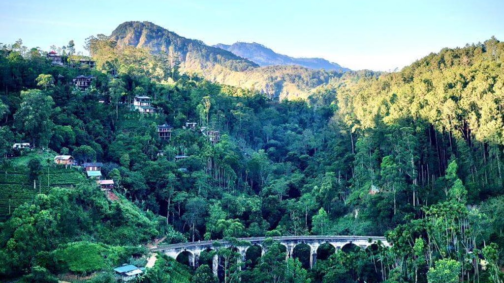 Eastern Highlands