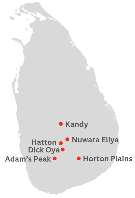 Southern Coast Tour Map