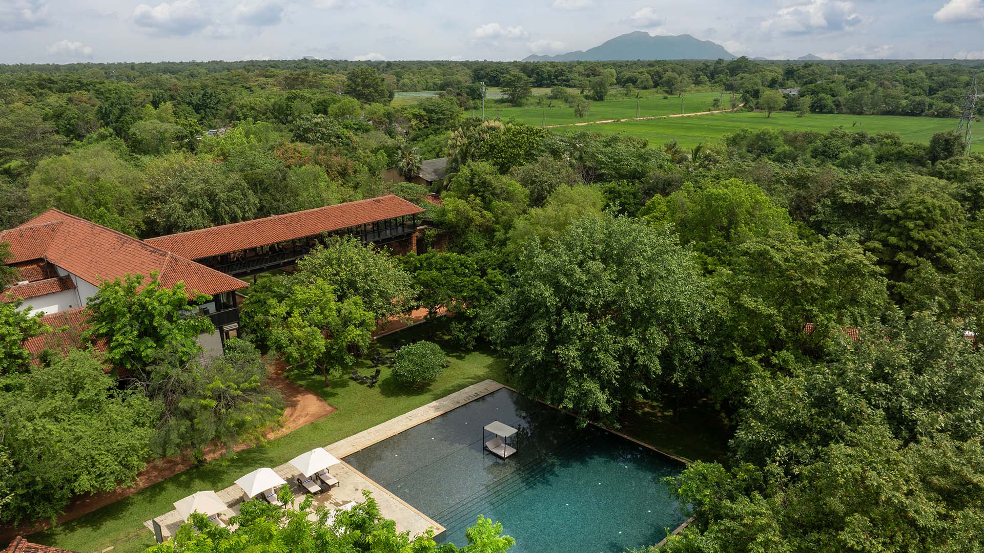 Amaara Forest Sigiriya