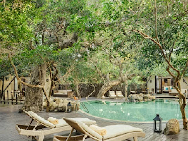 Uga Jungle Beach 