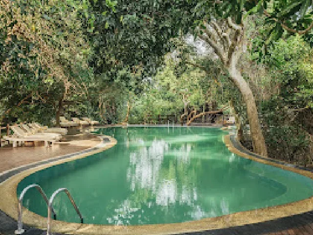 uga-jungle-beach