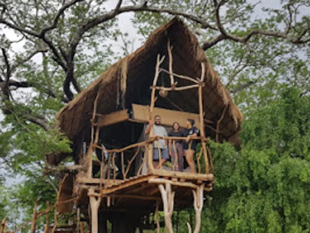 Ibis Lodge