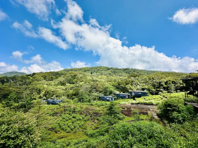 The Rainforest Ecolodge Deniyaya