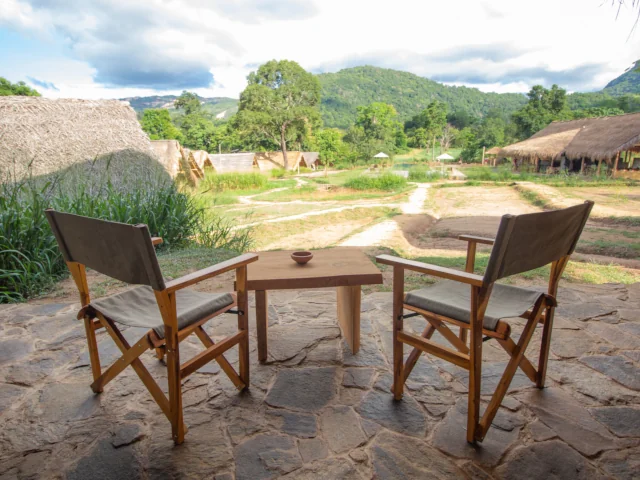 wild-glamping