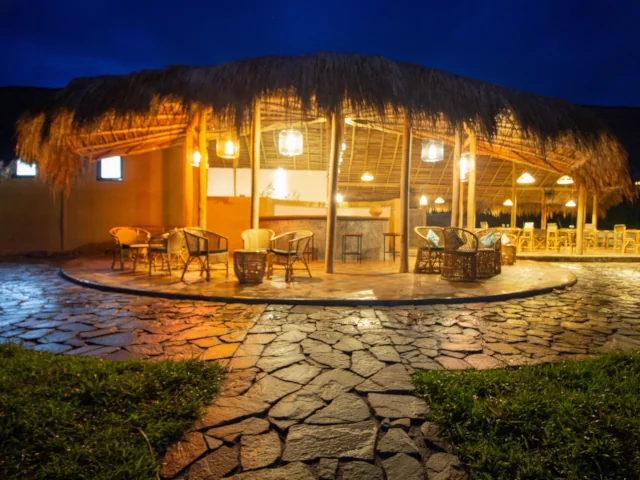 wild-glamping