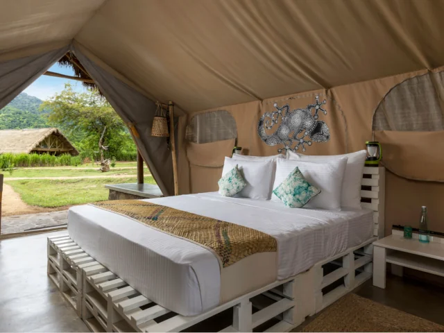 wild-glamping