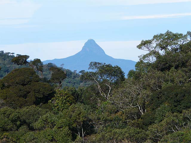 Adam's Peak