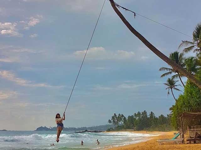 Coconut Tree Rope Swing - South Coast Beaches of Sri Lanka
