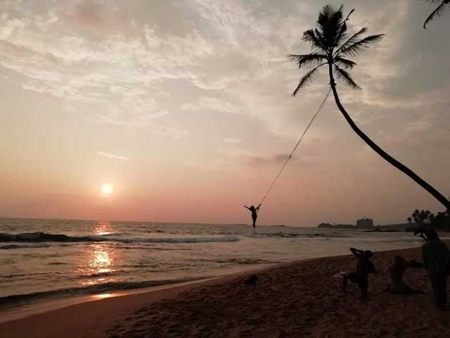 Coconut Tree Rope Swing - South Coast Beaches of Sri Lanka