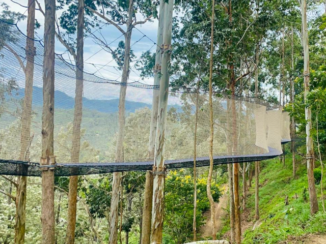 Little Adam's Peak in Ella