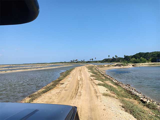 Bundala National Park