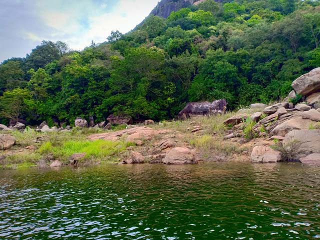 Gal Oya National Park