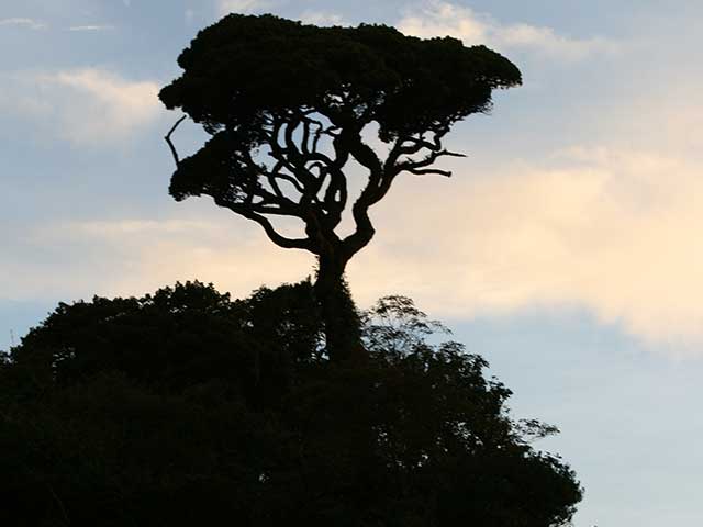 Horton Plains National Park