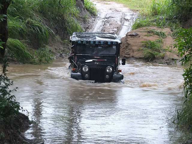 Minneriya & Kaudulla National Park