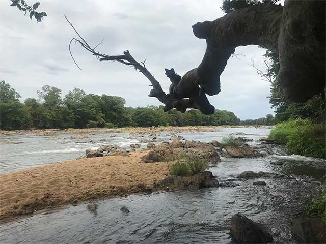 Wasgamuwa National Park