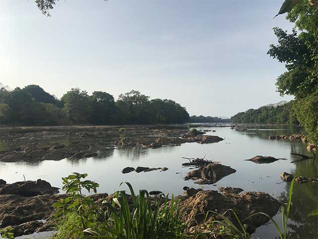 Wasgamuwa National Park