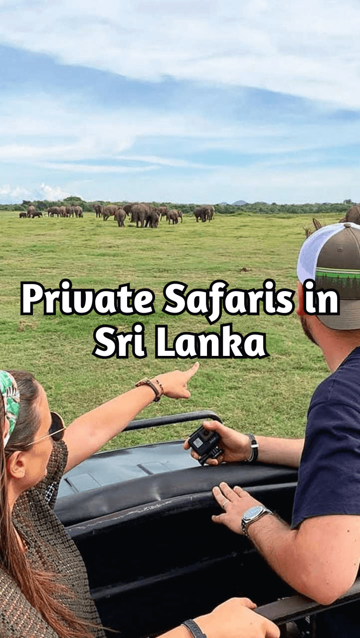 private safaris in sri lanka